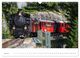 Thumbnail-8