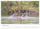 Thumbnail-11
