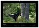 Thumbnail-10