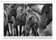 Thumbnail-11
