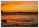 Thumbnail-14