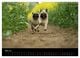 Thumbnail-10