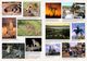 Thumbnail-14
