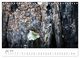 Thumbnail-11