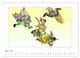 Thumbnail-9