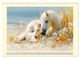 Thumbnail-14