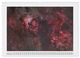 Thumbnail-14