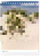 Thumbnail-11