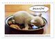 Thumbnail-11