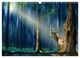Thumbnail-12
