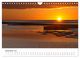 Thumbnail-14