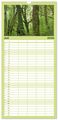 Thumbnail-12