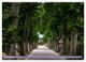 Thumbnail-14
