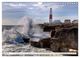 Thumbnail-8