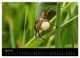 Thumbnail-9