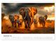 Thumbnail-14