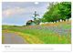 Thumbnail-12