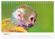 Thumbnail-12