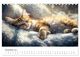 Thumbnail-13