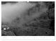 Thumbnail-12