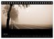 Thumbnail-12