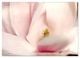 Thumbnail-11