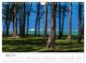 Thumbnail-10
