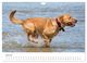 Thumbnail-9