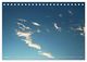 Thumbnail-11