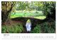 Thumbnail-9