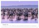 Thumbnail-14