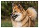 Thumbnail-9