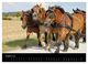 Thumbnail-12
