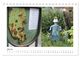 Thumbnail-9