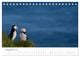 Thumbnail-11