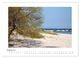 Thumbnail-12