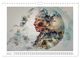 Thumbnail-9