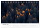 Thumbnail-14