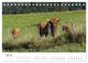 Thumbnail-12