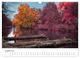Thumbnail-10