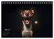 Thumbnail-11