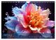 Thumbnail-13