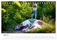 Thumbnail-9