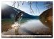 Thumbnail-9