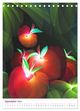 Thumbnail-14