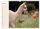 Thumbnail-13