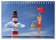 Thumbnail-14