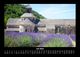 Thumbnail-11