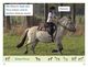 Thumbnail-9