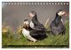 Thumbnail-8